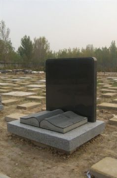 點(diǎn)擊查看詳細(xì)信息<br>標(biāo)題：石墓碑 閱讀次數(shù)：2044