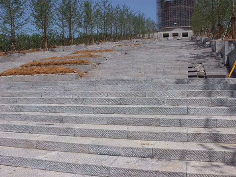 點擊查看詳細信息<br>標題：臺階石 閱讀次數(shù)：3013