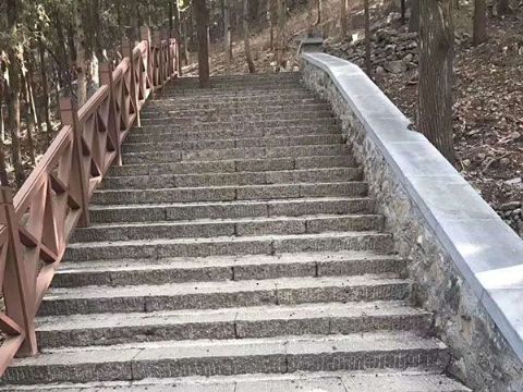 點擊查看詳細信息<br>標題：臺階石 閱讀次數(shù)：3160